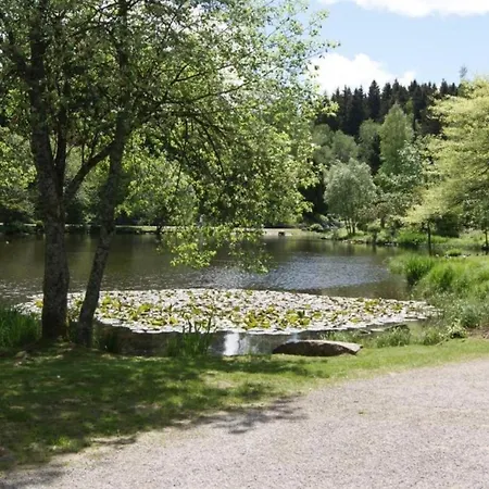 Nitzschke *